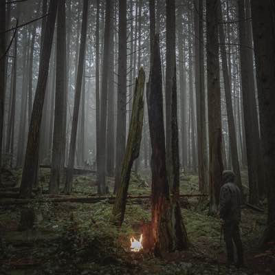 Baptists - Beacon Of Faith (Mastered for Vinyl)