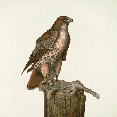 Federale - No Justice (Mastered for Download/CD & Vinyl)