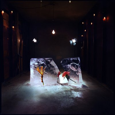 Shy Girls - Salt (Mastered for Vinyl)