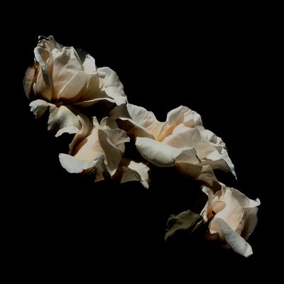 NRVS LVRS - Electric Dread (Mastered for Download/CD & Vinyl)